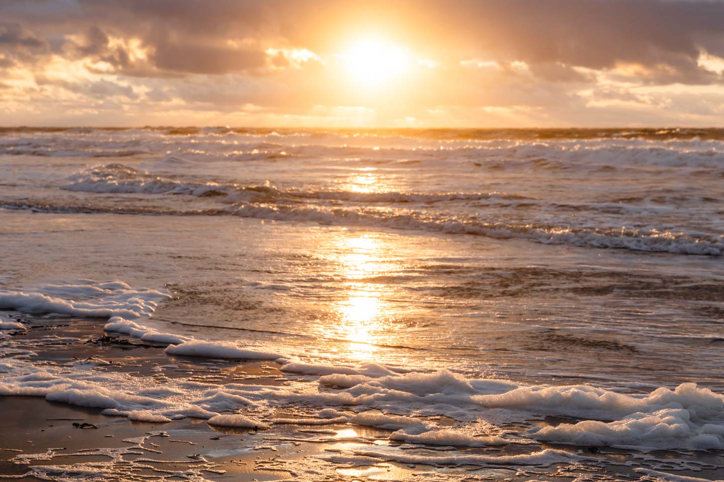 Seegras auf Norderney