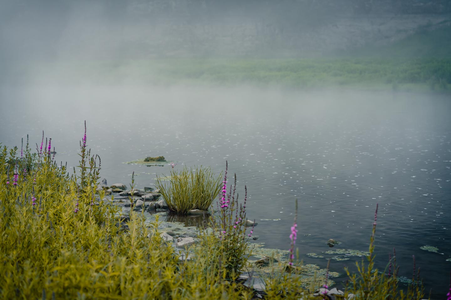 Edersee im Nationalpark Kellerwald-Edersee